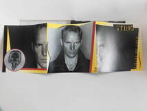 スティング ベスト Fields of gold 1984-1994 US盤 The best of Sting 送料込_画像6