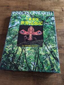  now . light . world insect chronicle rhinoceros beetle butterfly stag beetle . sound pavilion bookstore rare 