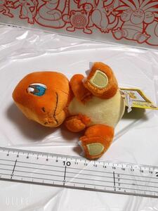 ◎ポケモンセンター ぬいぐるみ ヒトカゲ