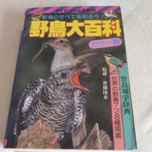 ケイブンシャ大百科シリーズ『昭和５６年発行野鳥大百科カラー版』斎藤隆史4点送料無料昭和レトロ本多数出品中