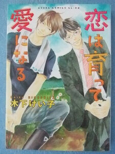 木下けい子／恋は育って愛になる　　　　＊あすか