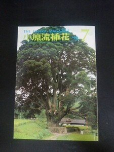 Ba1 09784 小原流挿花 1979年7月号 家元講座 小原豊雲 日本の伝統美術 燕鎚起銅器 パトロンと日本美術史 徳川幕府と狩野探幽 他