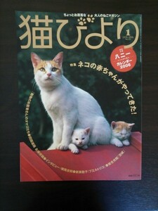 Ba1 09900 猫びより 2006年1月号 No.25 特集/ネコの赤ちゃんがやってきた!「動物のお医者さん」のタマゴたち 四国遍路 お接待猫 他