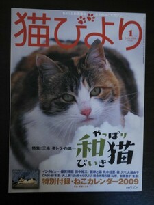 Ba1 09902 隔月刊 猫びより 2009年1月号 No.43 特集/三毛・茶トラ・白黒…やっぱり和猫びいき 私と猫/爆笑問題 田中裕二 猫のいる宿 他