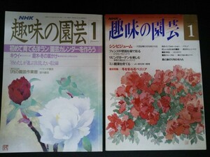 Ba1 09946 NHK 趣味の園芸 昭和64年 1月1日No190 平成5年1月1日No238 2冊セット 初めて育てる洋ラン シンビジューム リビングガーデン 他