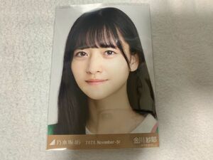 乃木坂46 2020.November-IV ニットポロ 生写真 金川紗耶 ヨリ