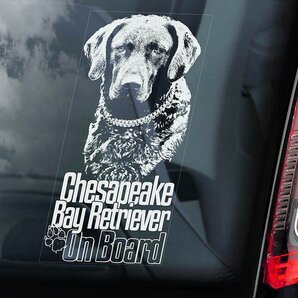 ◆チェサピーク・ベイ・レトリーバー@外張り カーステッカー 210 x 100mm 外貼り カー ステッカー ウインドウ シール@DOG ON BOAD@D1@2956