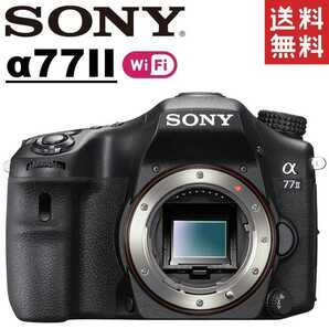 ソニー SONY α77 II アルファ77 ILCA-77M2 ボディ デジタル 一眼レフ カメラ 中古