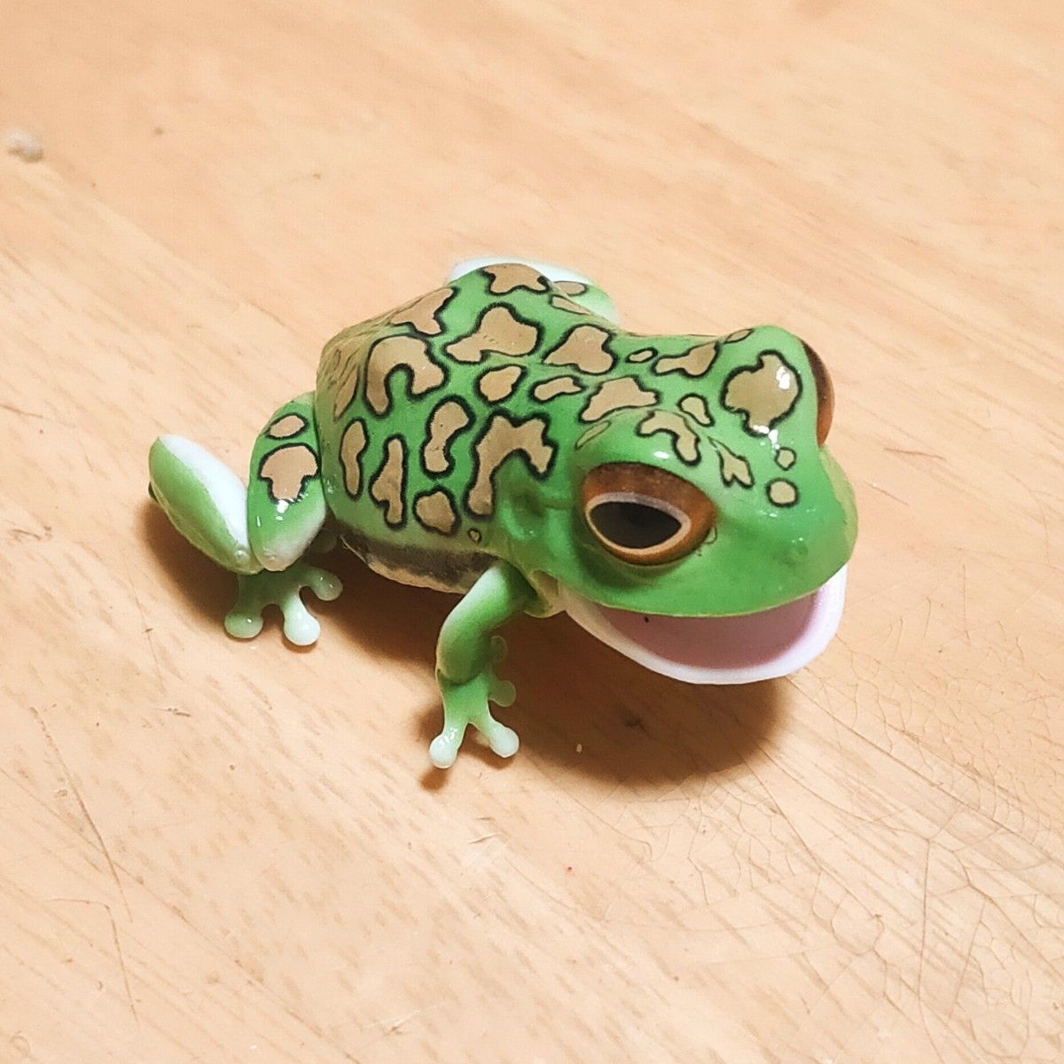 いきもの大図鑑 レプティ モリアオガエル(ダークグリーン)【送料無料】