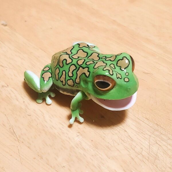 いきもの大図鑑 レプティ モリアオガエル(ダークグリーン)【送料無料】