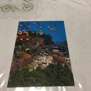 宝珠山　立石寺　山寺　五大堂　開山堂　絵葉書