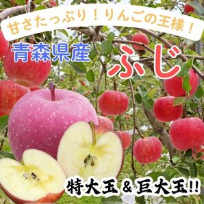 ★期間限定★青森県産 ふじ りんご 特大玉&巨大玉 家庭用 6~8玉 ④