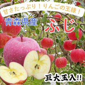★期間限定★青森県産 ふじ りんご 巨大玉入 家庭用 6~8玉 ②