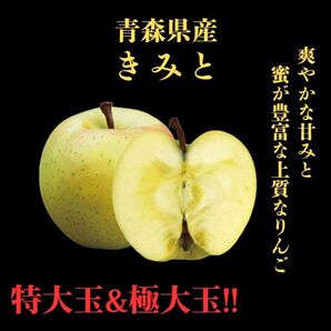 ★期間限定★青森県産 きみと 激レア りんご 特大玉&極大玉 家庭用 6~8玉 ③