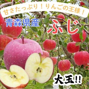 ★期間限定★青森県産 ふじ りんご 大玉 6~8玉 ⑦
