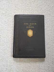 1927 year American wild bird illustrated reference book [The Book of Birds]