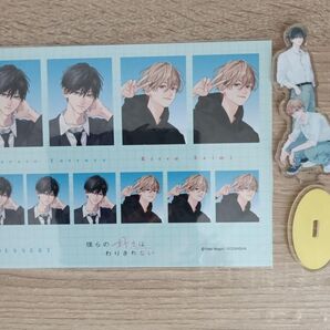 どうせ泣くなら恋がいい 全員プレゼント