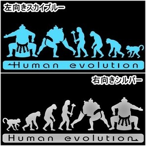 ★千円以上送料0★30.0×9.6cm 人類の進化【大相撲編】横綱、大関、国技、土俵好きにオリジナルステッカー(3)(2)の画像2