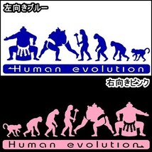 ★千円以上送料0★20.0×6.4cm 人類の進化【大相撲編】横綱、大関、国技、土俵好きにオリジナルステッカー(1)_画像4