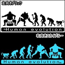 ★千円以上送料0★15.0×4.8cm 人類の進化【大相撲編】横綱、大関、国技、土俵好きにオリジナルステッカー(2)_画像2