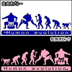 ★千円以上送料0★15.0×4.8cm 人類の進化【大相撲編】横綱、大関、国技、土俵好きにオリジナルステッカー(1)