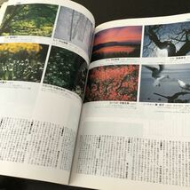 a42 フォトコンテスト 1998年7月号 日本写真企画 カメラ 芸術 美術 一眼レフ 景色 北海道 美瑛 富良野 キャノン 写真 作品 レンズ_画像9