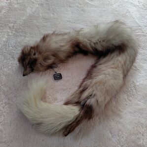 【箱付】Lumiere FUR ファー ストール きつねファー