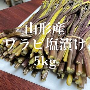 山形県産 アク抜きワラビ塩漬け 5kg(1kg×5袋)塩蔵 わらび 野菜 山菜