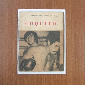 アルバロ・バリオス コラージュ 作品集■写真集 男性 モデル ブルータス アイデア juxtapoz ZINE IMA Coquito Alvaro Barrios