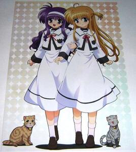  Magical Girl Lyrical Nanoha A's/ illustration 07a Lisa &... other 