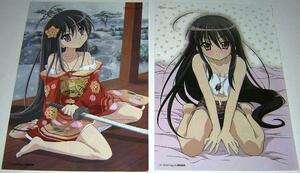  pin nap/ Shakugan no Shana &Canvas2 other ( is only / swimsuit /sk water )