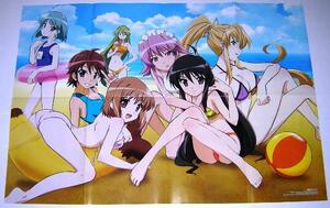 B2 Poster/Shakugan no Shana II и Clannad-Cranad- (купальник)