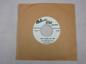 【SOUL ７”】THE BLUE SKY BOYS FEATURING DENNIS OSTROM / YOU CAME TO ME、CALL ON ME 