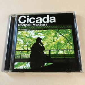 槇原敬之 1CD「Cicada」