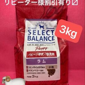 新品 セレクトバランス パピー ラム小粒 パピーちゃん&ママ用 子犬&母犬 3kg リピーター様割引有ります!