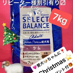 新品 セレクトバランス アダルト ラム 小粒 7kg 1才以上 成犬用 リピーター様割引有ります!