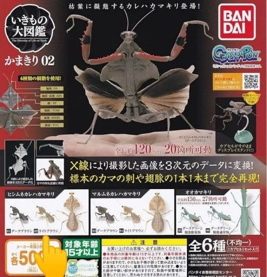 バンダイ いきもの大図鑑 かまきり02 ヒシムネカレハカマキリ ライトブラウン ガシャポン
