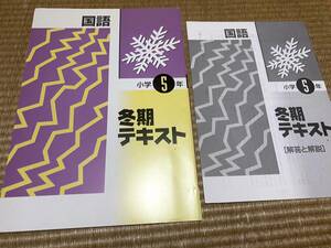 012●送料無料●塾専用教材●冬期講習テキスト●小５国語●解答解説付き