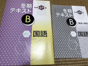 012●送料無料●塾専用教材●冬期講習テキストB●中２国語●解答解説付