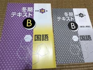 012●送料無料●塾専用教材●冬期講習テキストB●中３国語●解答解説付