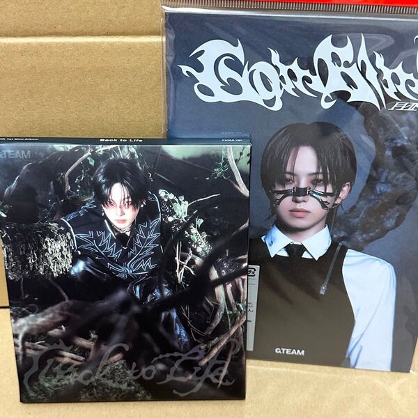 &TEAM Back to Life 月狼 Go in Blind CD ソロ盤 ROAR ver. FUMA フウマ トレカ