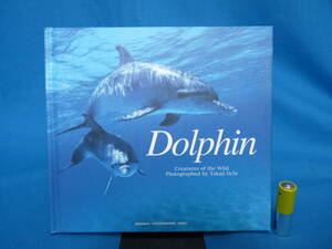 青菁社 Dolphin Creatures of the Wild 写真集 越智隆治 Takaji Ochi イルカの海