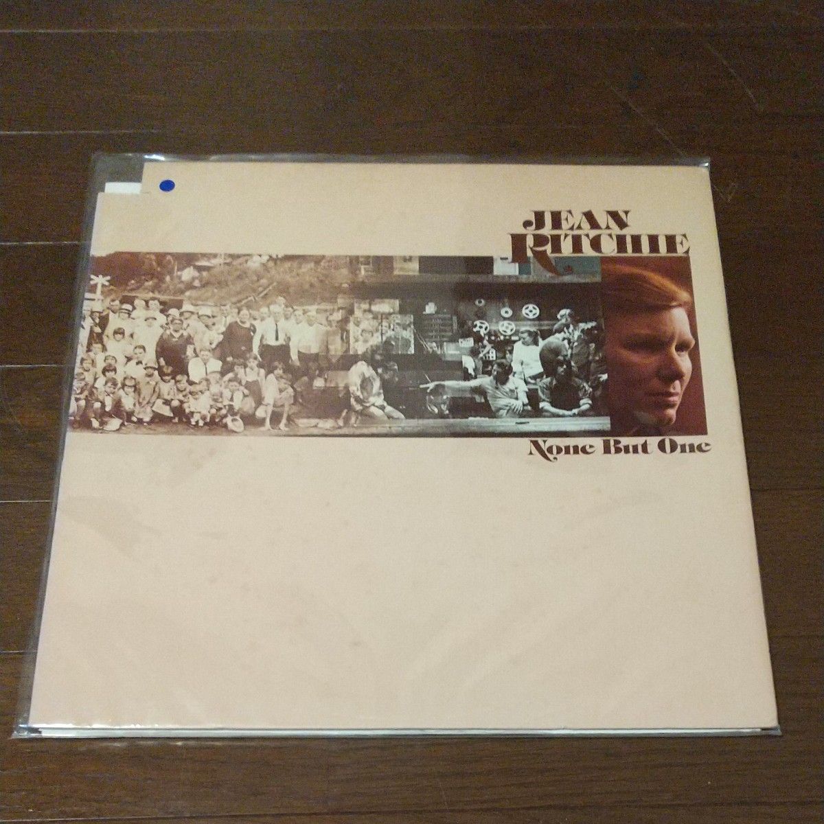SSW JEAN RITCHIE(ジーン・リッチー)/None But One LP レコード