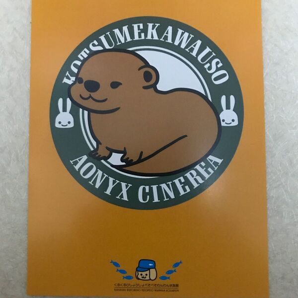 未使用 cune キューン うさぎ ポストカード カワウソ オレンジ系 水族館 orenge post card
