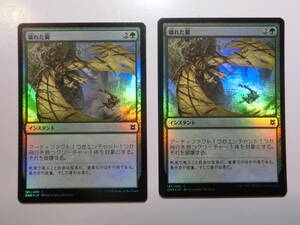 【MTG】★Foil　壊れた翼　日本語2枚セット　ゼンディカーの夜明け　ZNR　コモン