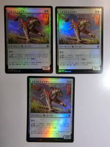 【MTG】★Foil　うろつくフェリダー　日本語3枚セット　ゼンディカーの夜明け　ZNR　コモン