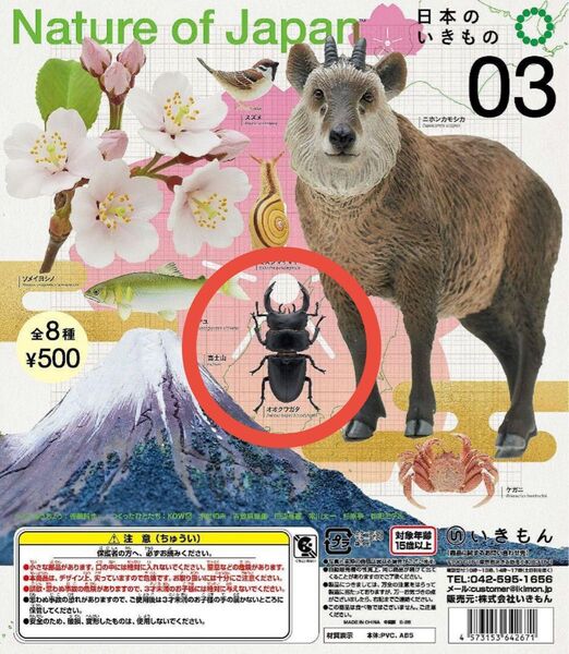 Nature of Japan 日本のいきもの03 オオクワガタ