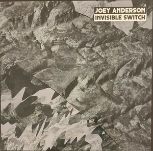 ♪試聴 12'♪Joey Anderson / Invisible Switch