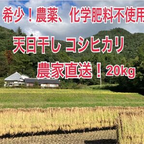 農家直送!希少!数量限定!群馬県産コシヒカリ20kg