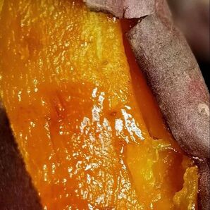 甘〜い 大分県産 紅はるか 10kg 大容量 さつまいも 蜜芋